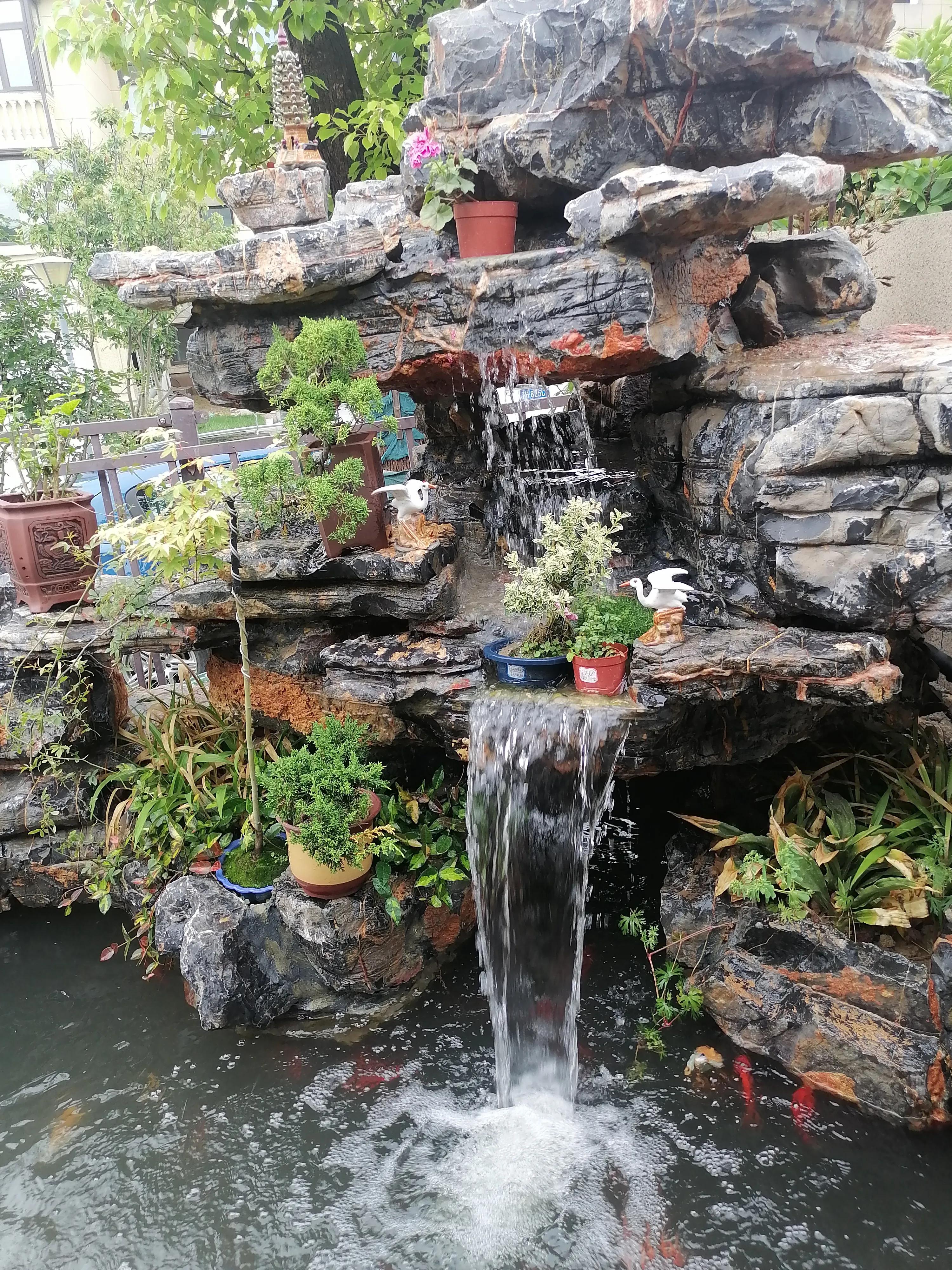 小松子历险记,松树公园历险记