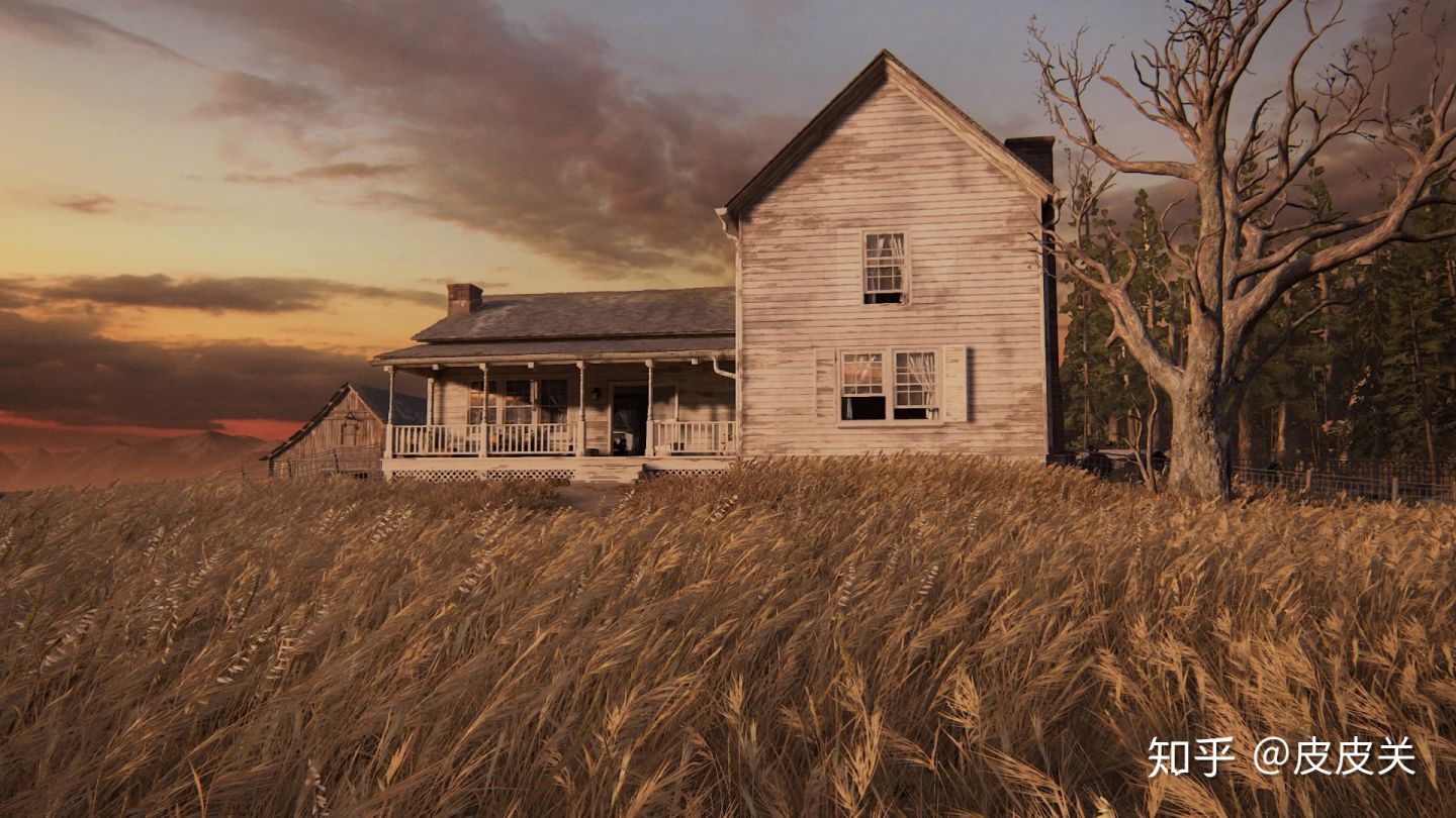 最后生还者2wlf是什么组织,最后生还者2怎么关闭解说声音