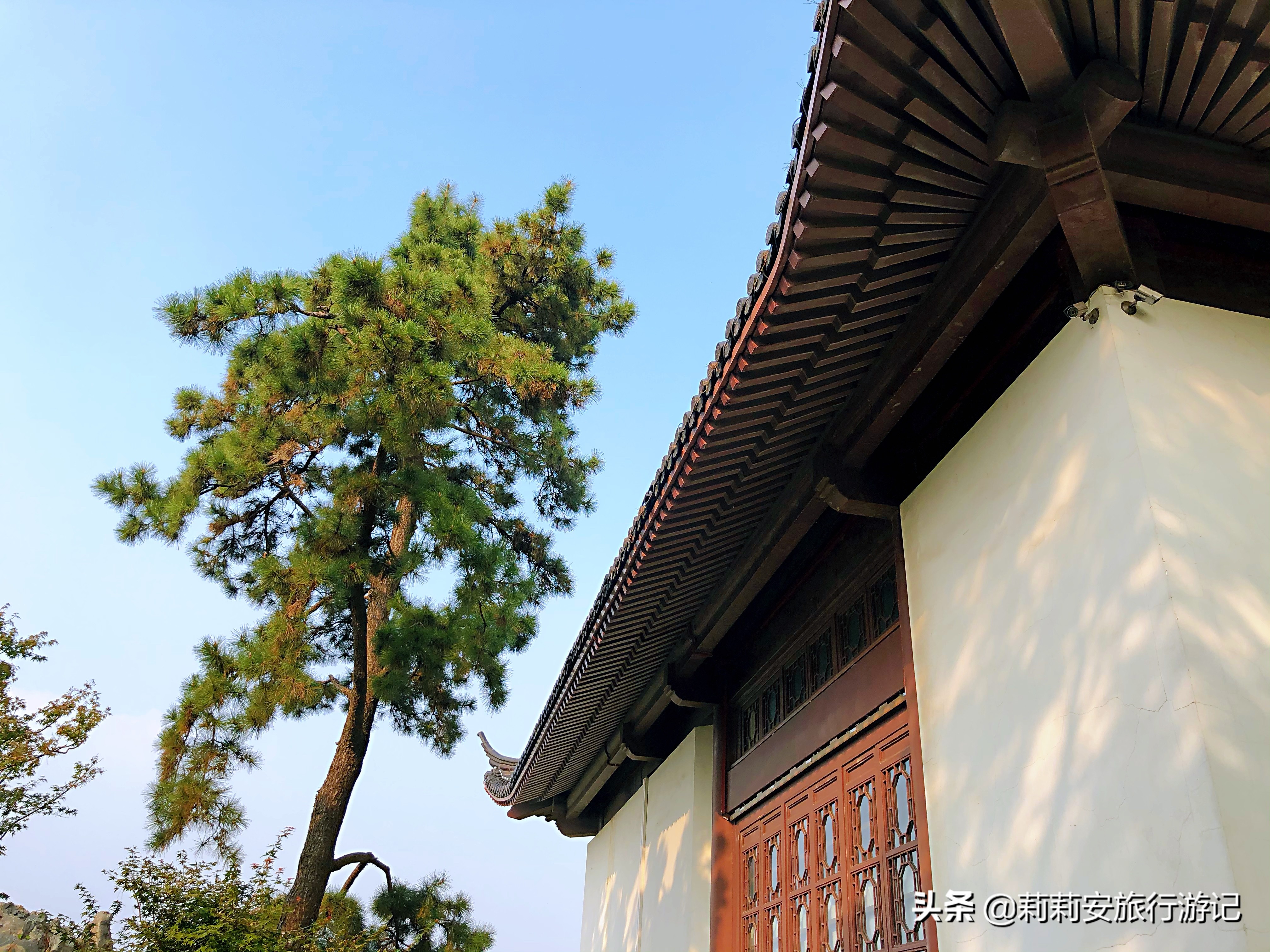 黄鹤楼公园打卡,打卡武汉网红景点黄鹤楼