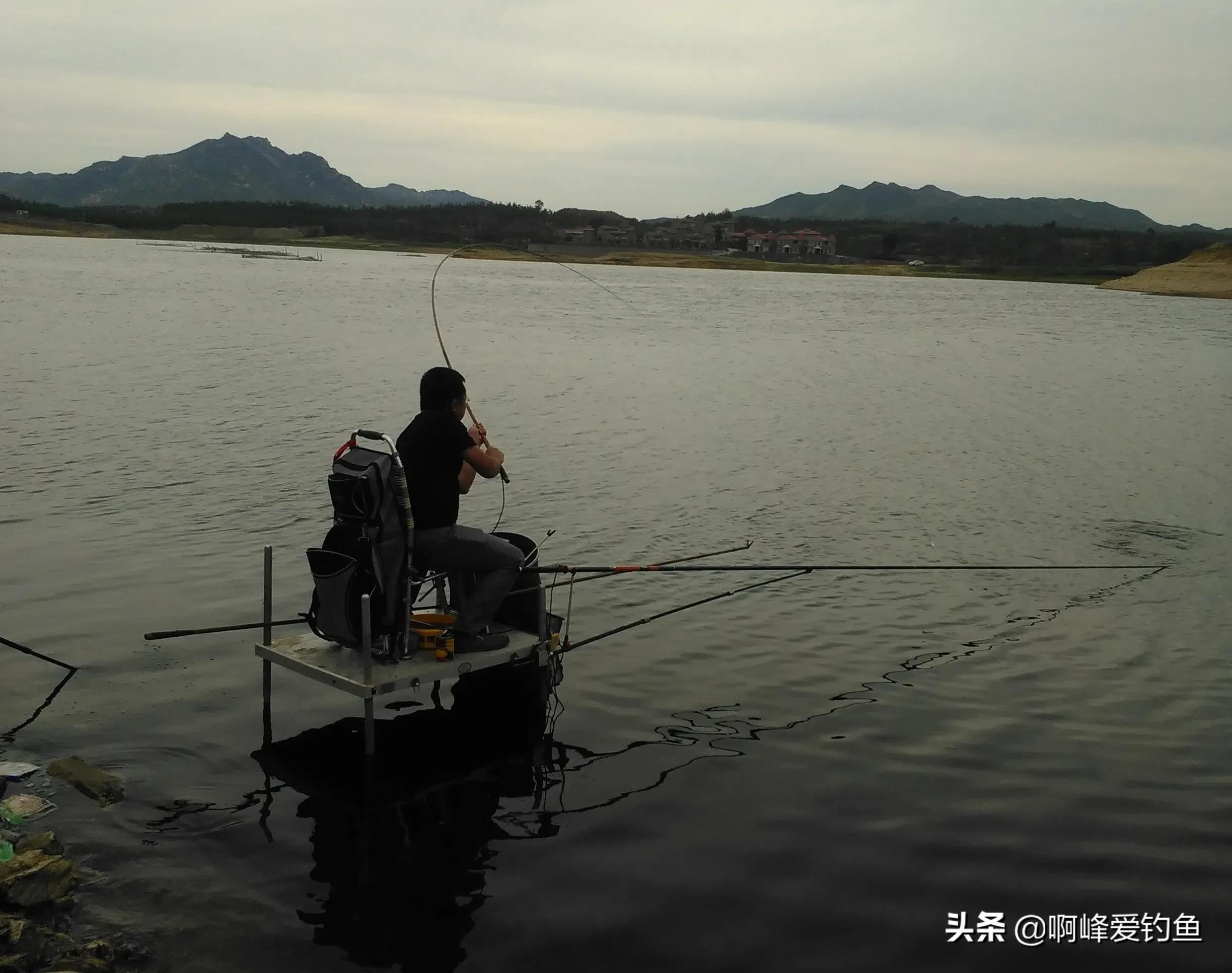 鲢鳙到底怎么钓才能钓得多,鲢鳙怎么才好钓