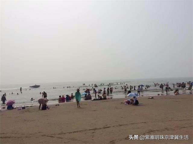 海边可以赶海吃住玩一体的农家院,秦皇岛黄金海岸牧海农家院
