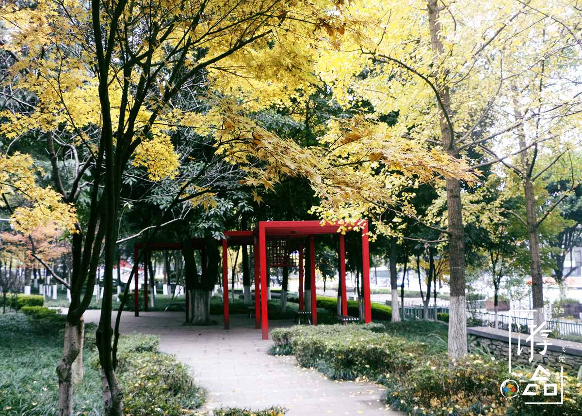 从问题少年到特种兵,从问题少年到美国总统的奥巴马