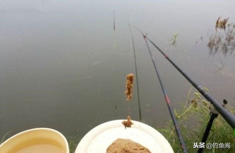拉饵开不好,拉饵时饵团开裂怎么回事
