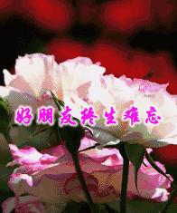 4月1日愚人节的祝福语,4.1日愚人节怎么来的