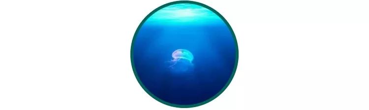 温泉水在护肤品中的作用,纽西之谜温泉水护肤品