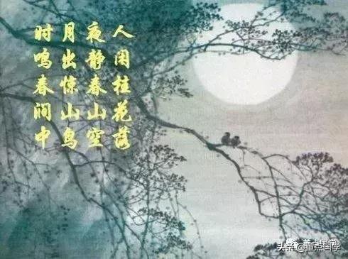 古诗词里的月亮说:一画月亮就是圆月,从前的常识如今少人知晓