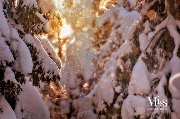 哑光妆容的魅力，在于提供漆黑的夜晚，展现色彩之美