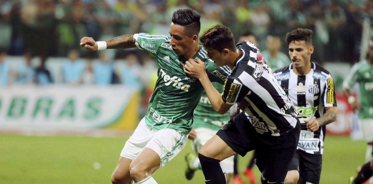 帕梅拉斯vs巴西比分预测,巴西杯桑托斯vs派桑杜