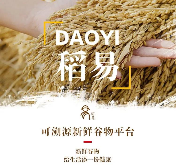 一粒米的千亿商机与暗战，中国人的千年主食该换个吃法了！