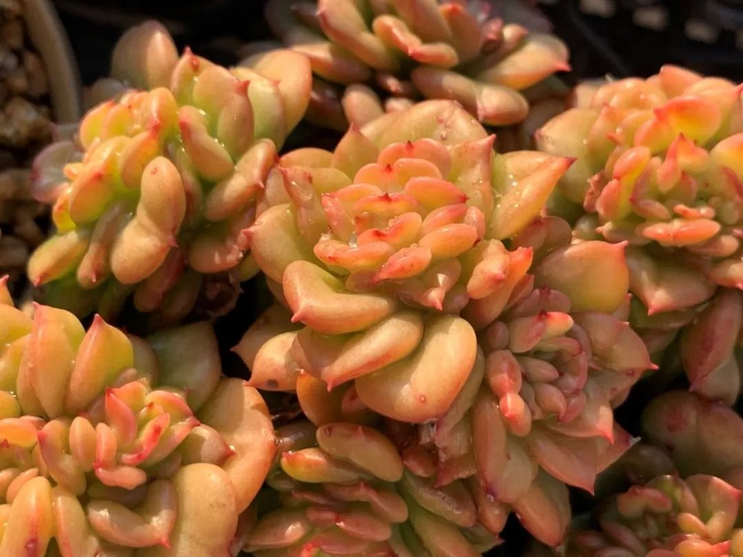 禁足的日子收获颇多,禁足