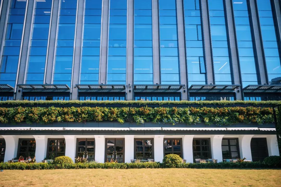 鍗庡皵閬撳か鐧惧勾缁忓吀,鍗庡皵閬撳か鐧惧勾鐢垫