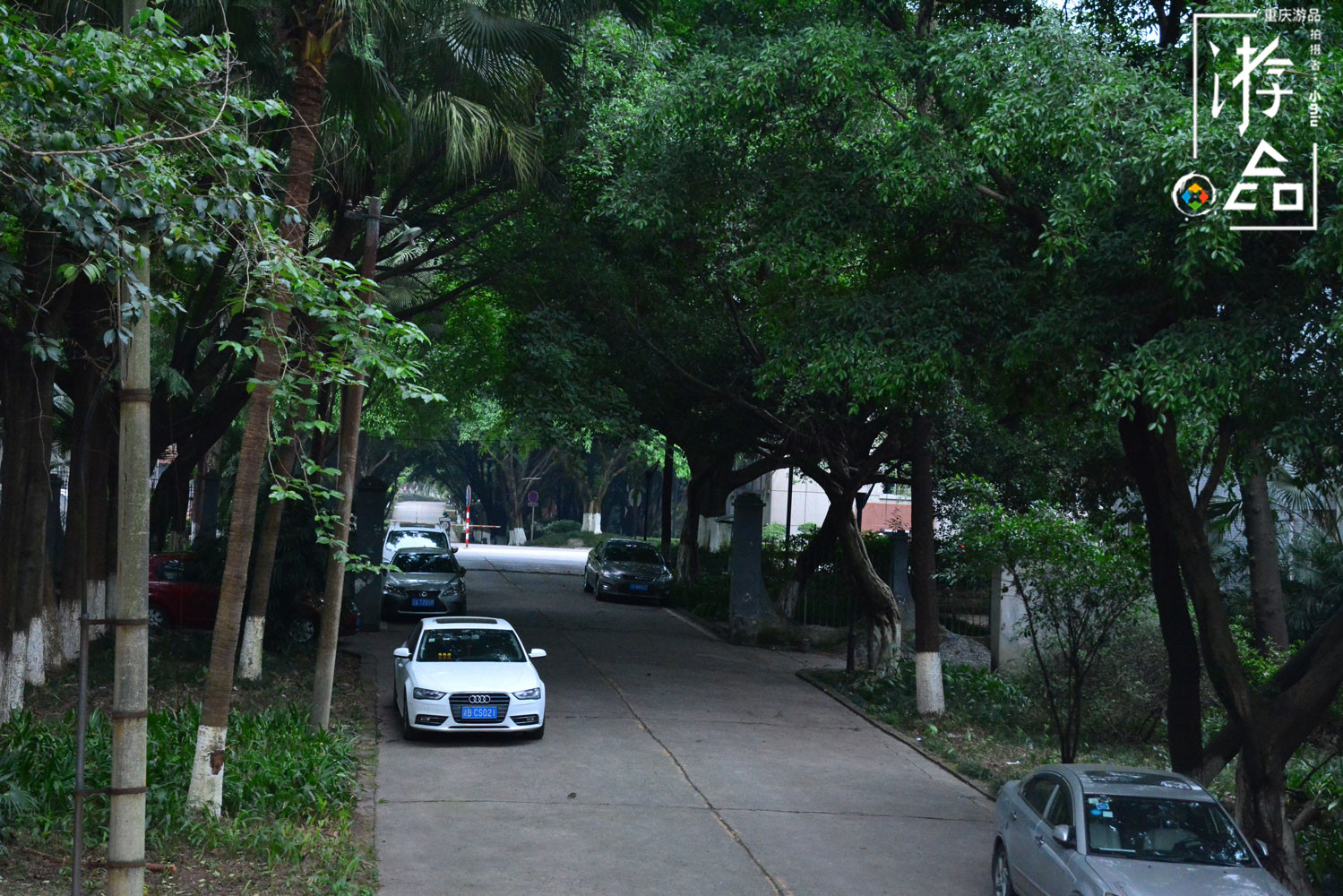 重庆渝州宾馆在市中心吗,重庆神秘的渝州宾馆