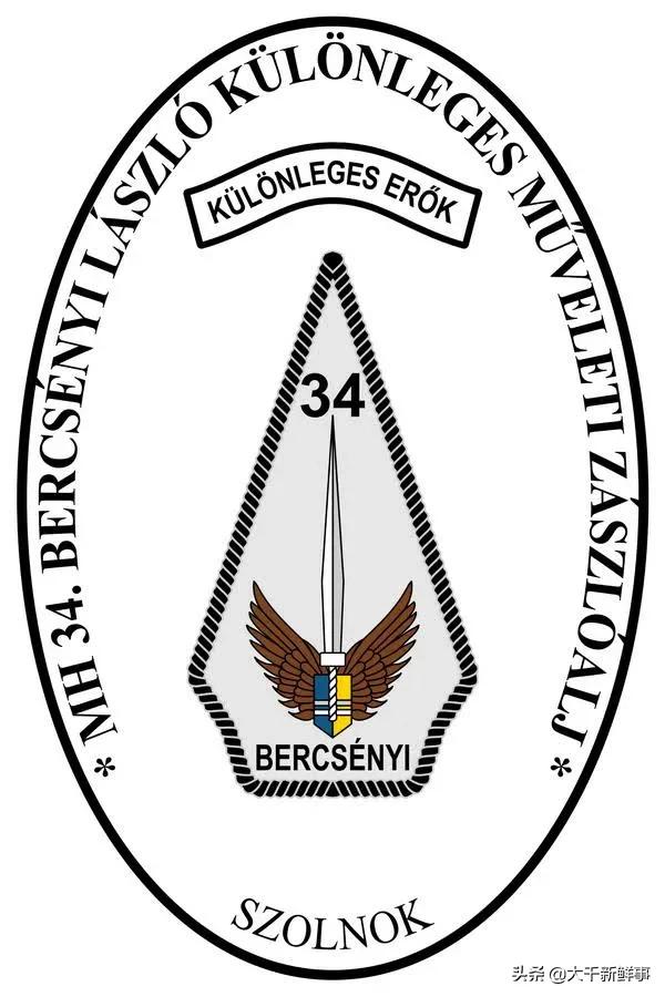 世界十大，不不不！是十支特种作战力量图赏