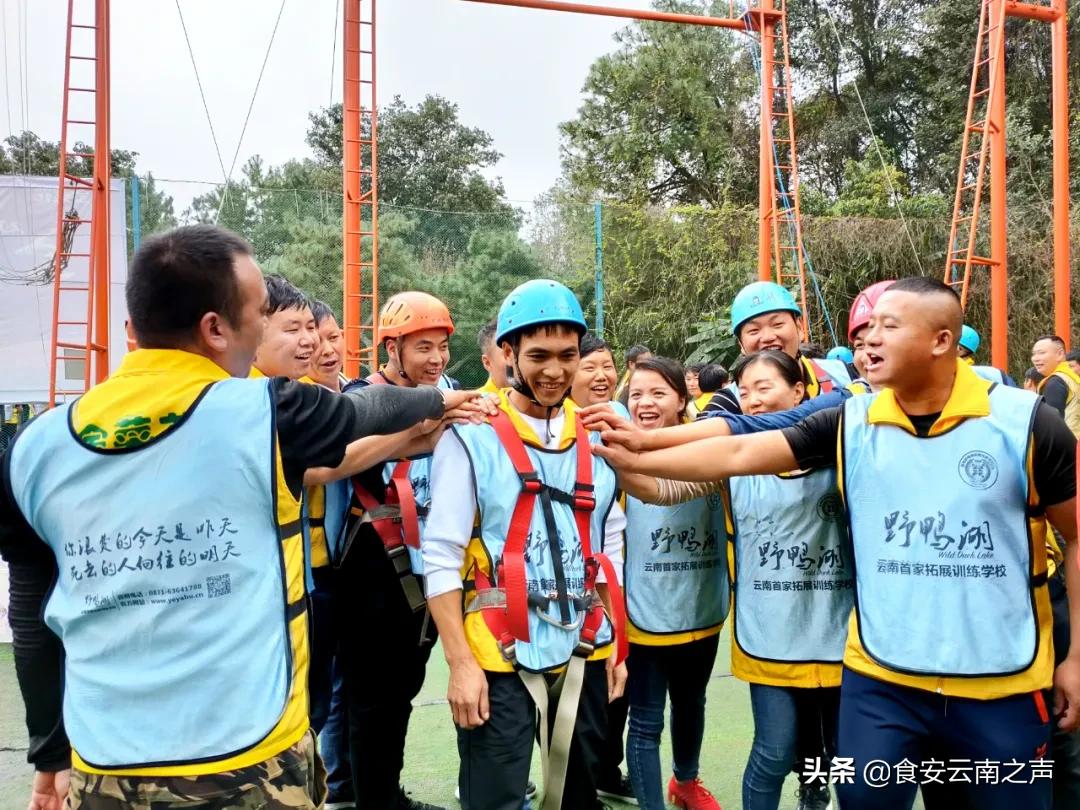 金丰汇聚，共创未来——2020“金菜花”营销精英训练营（第二期）圆满闭营