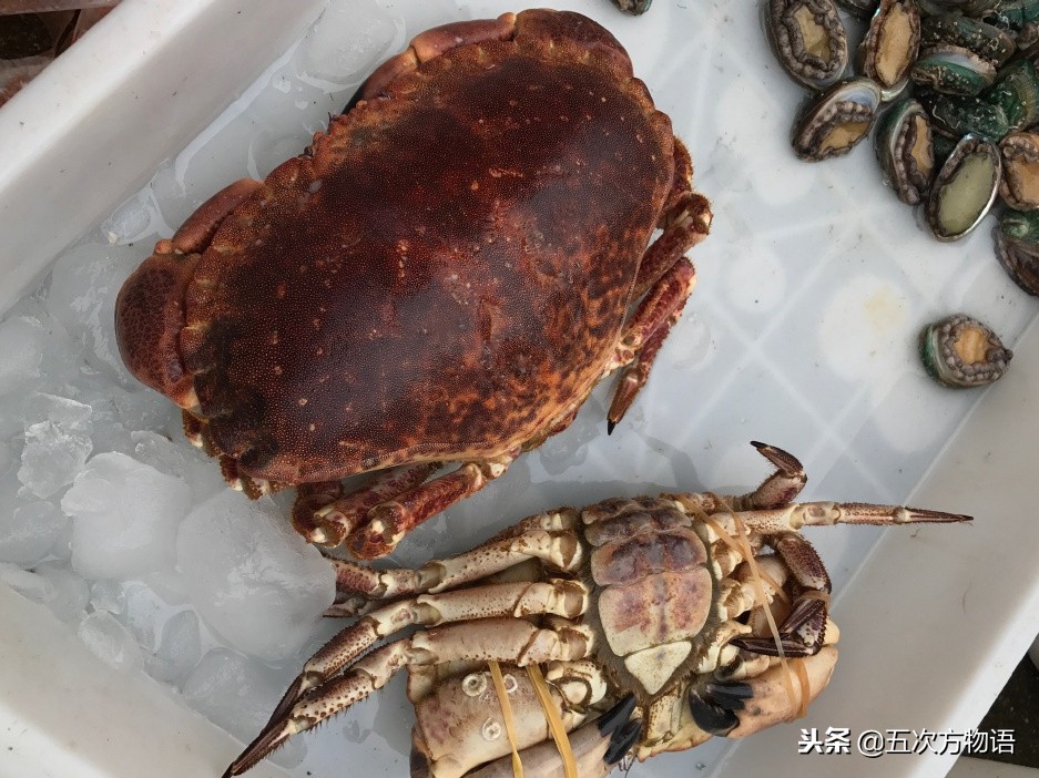 青岛市场帝王蟹种类,海鲜市场都有什么海蟹品种