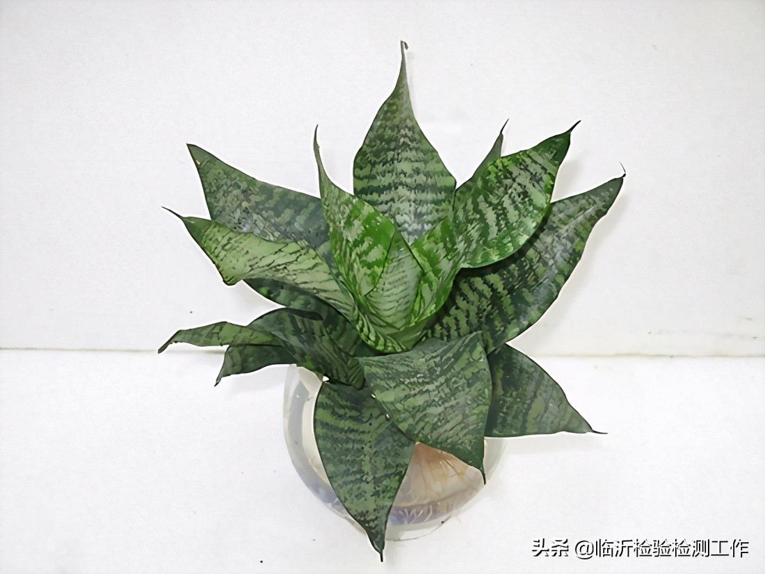 新房室内燃碳能去除甲醛吗,室内新房装修去除甲醛有效的方法