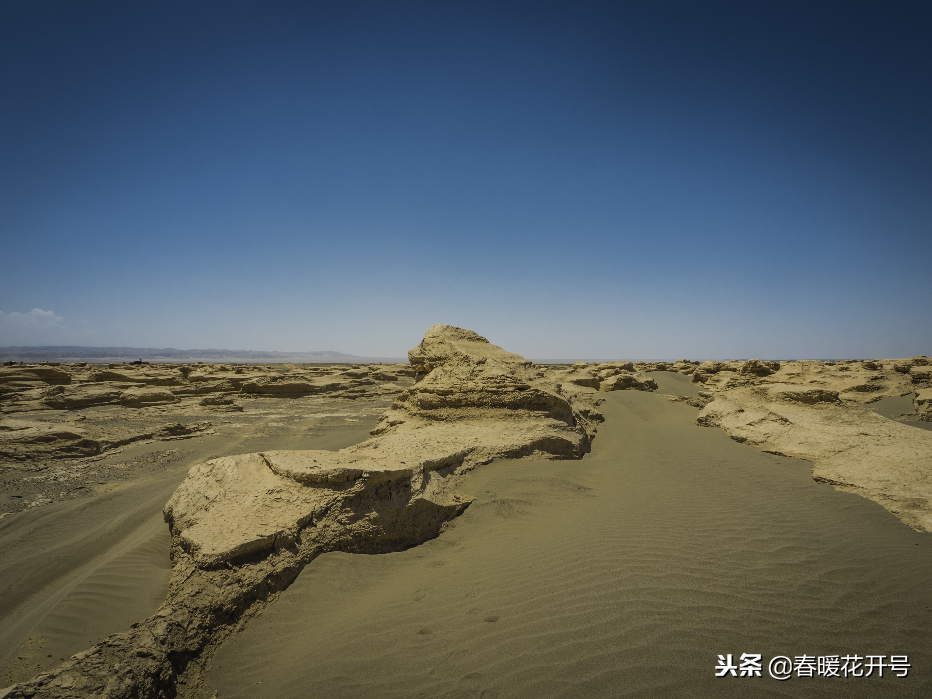 陈春花：如何改变自己？