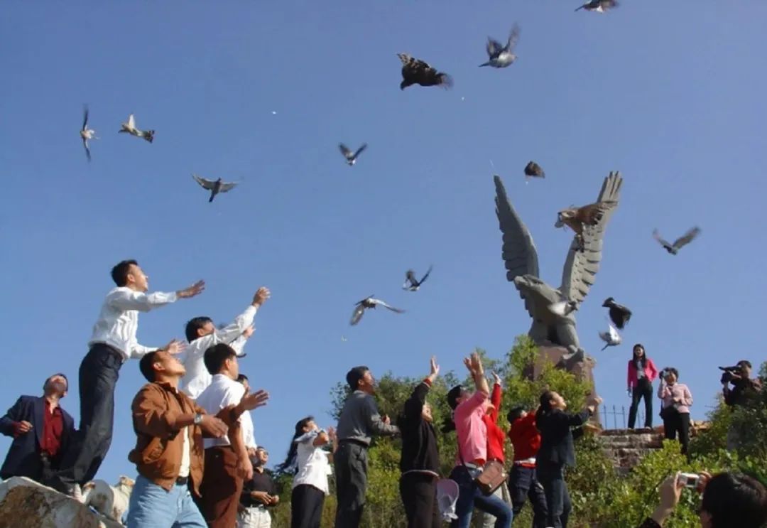 看见美好之境,长岛看见美好之境