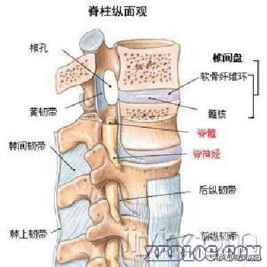 健康科普堂｜【视频】腰腿痛的诊治