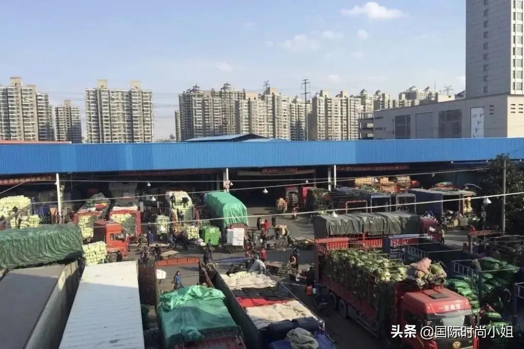 老纪是个什么人物,一个历史上的传奇人物