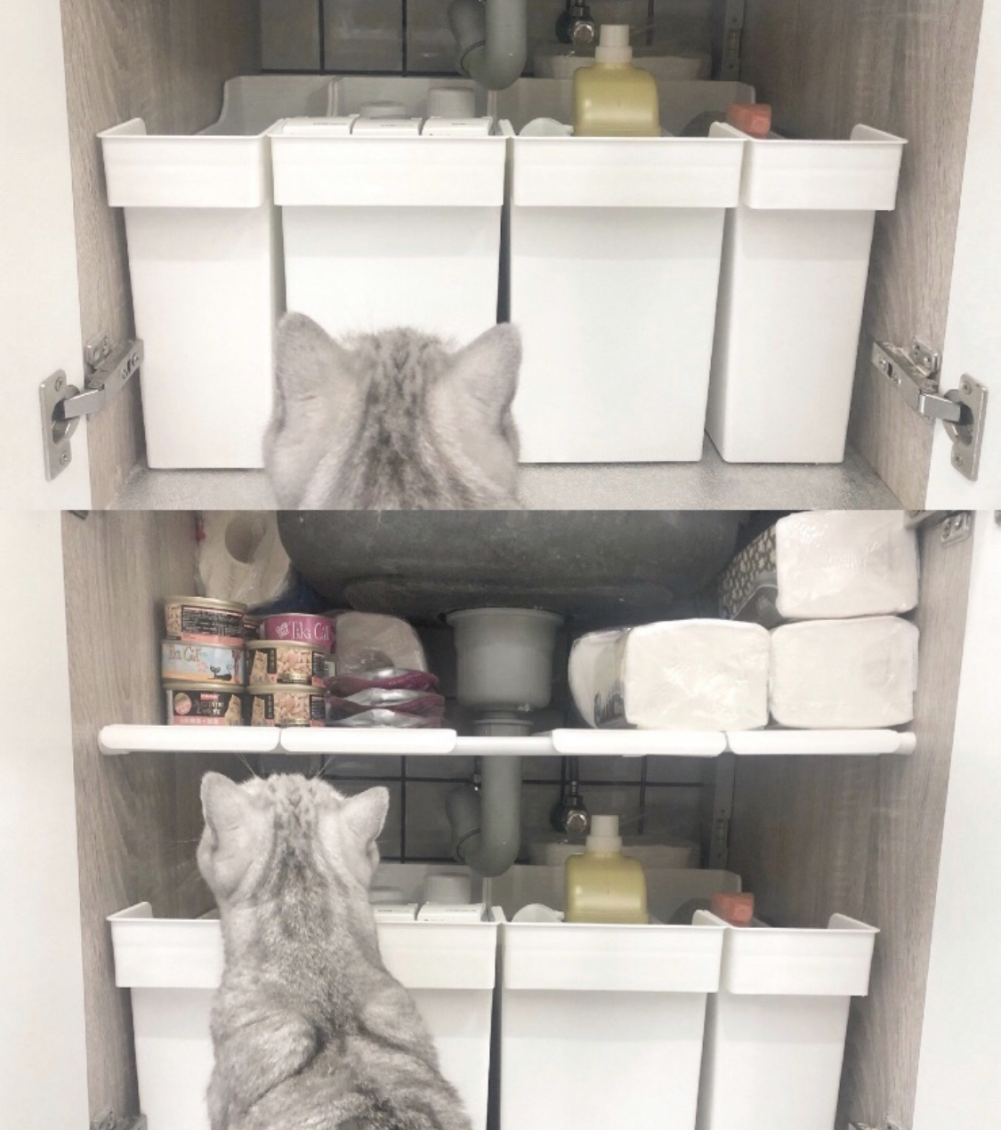 什么样的装修能让人生活简单,什么才是真正好的装修