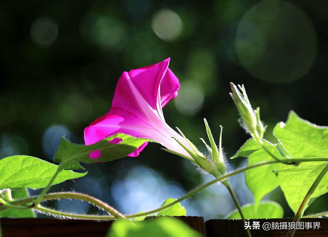 佳能6d现在有新的吗,佳能6d相机寿命多少时间