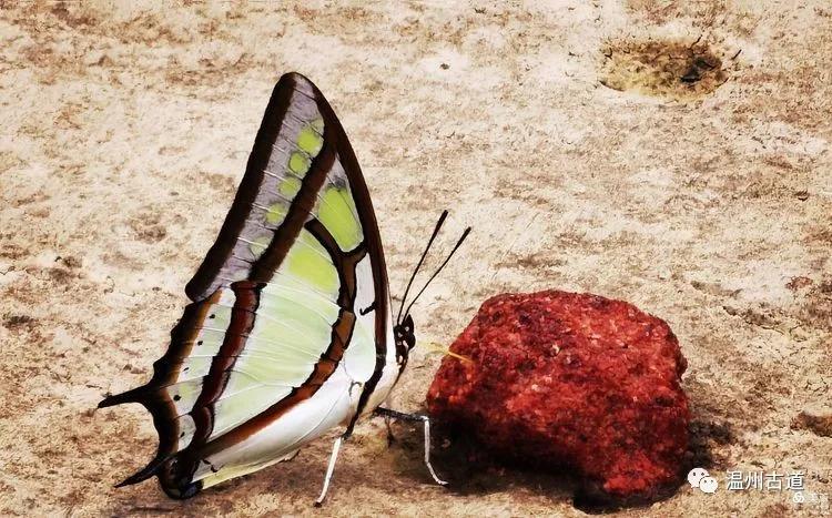 新昌盐帮古道十八渡徒步时间,新昌盐帮古道旅游攻略