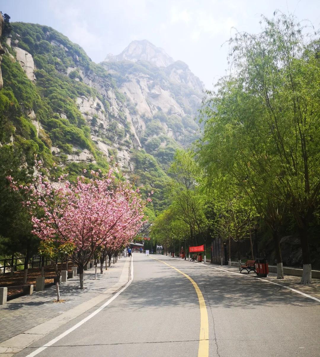 速收！如何玩转重启后的华山，看这篇就对了