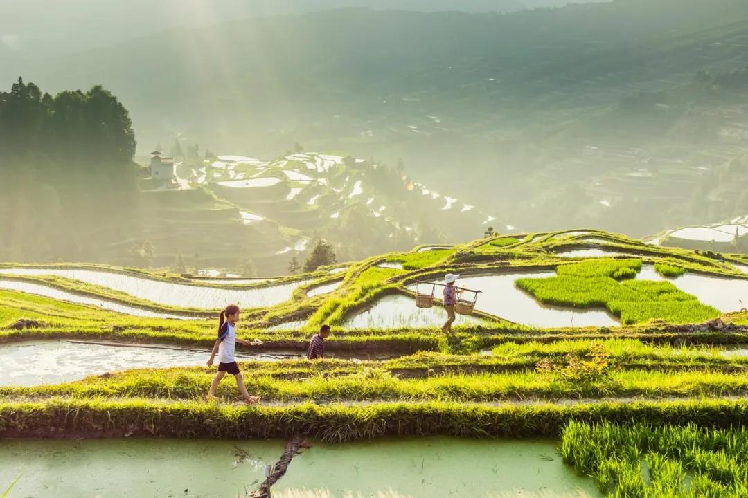 五一去哪里玩小众又景色美,贵州五一自驾小众