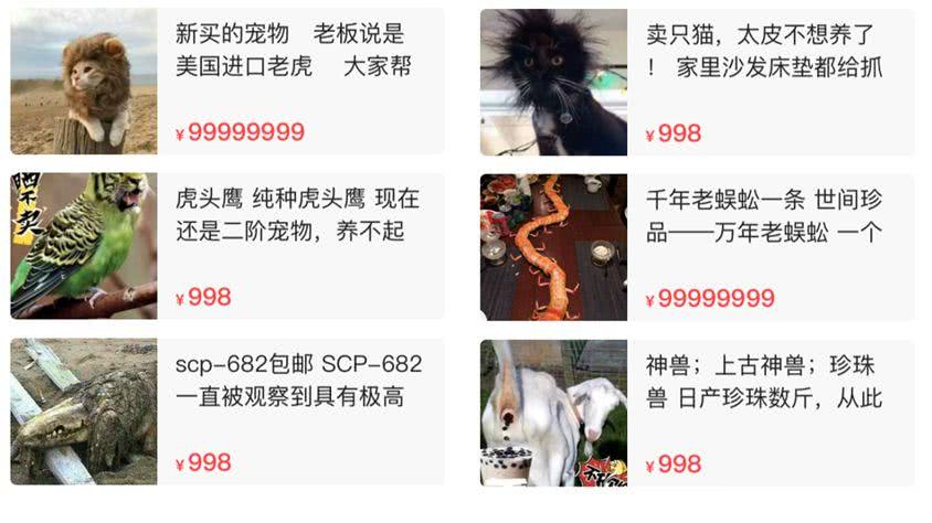 闲鱼卖神兽的视频,闲鱼上古神兽奇葩卖家
