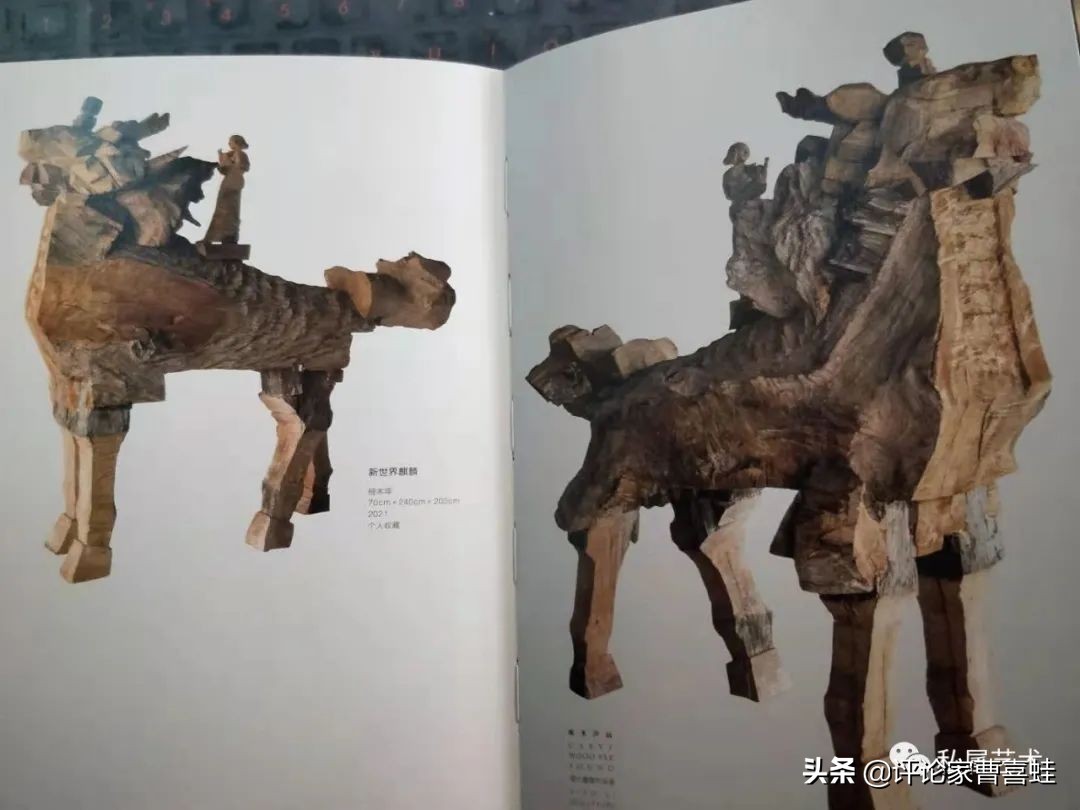 曹喜蛙,曹喜蛙代表作品