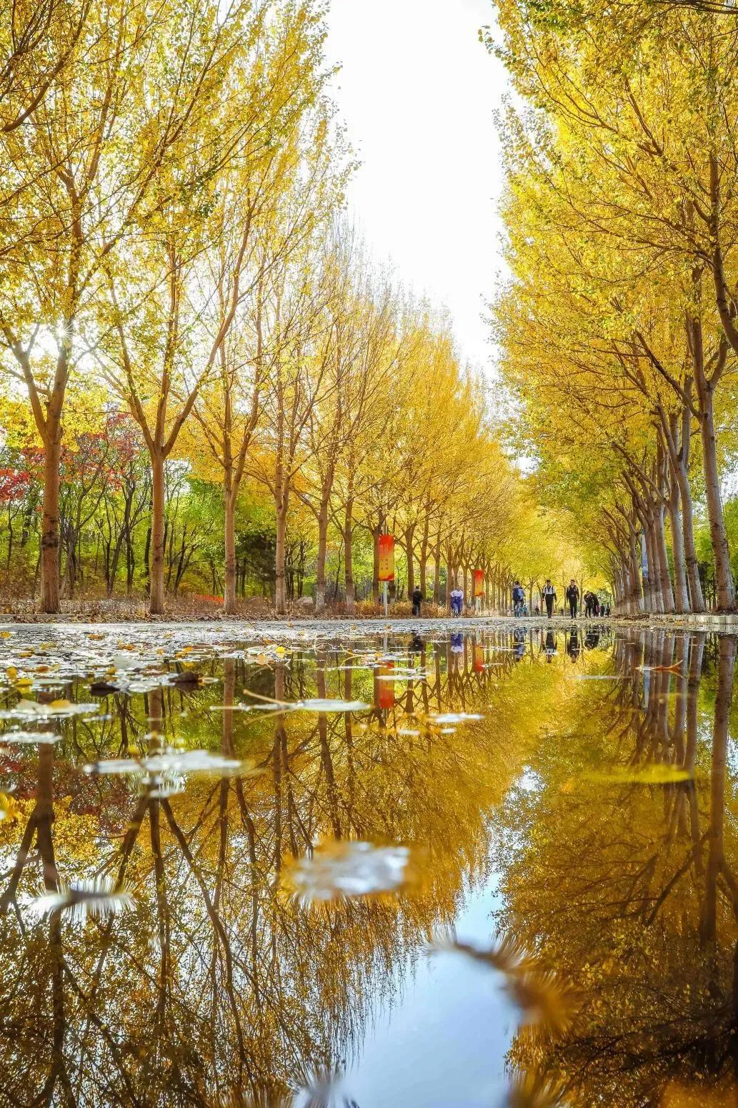 辽宁省高等院校分布图,辽宁省高考报考沈阳航空航天大学