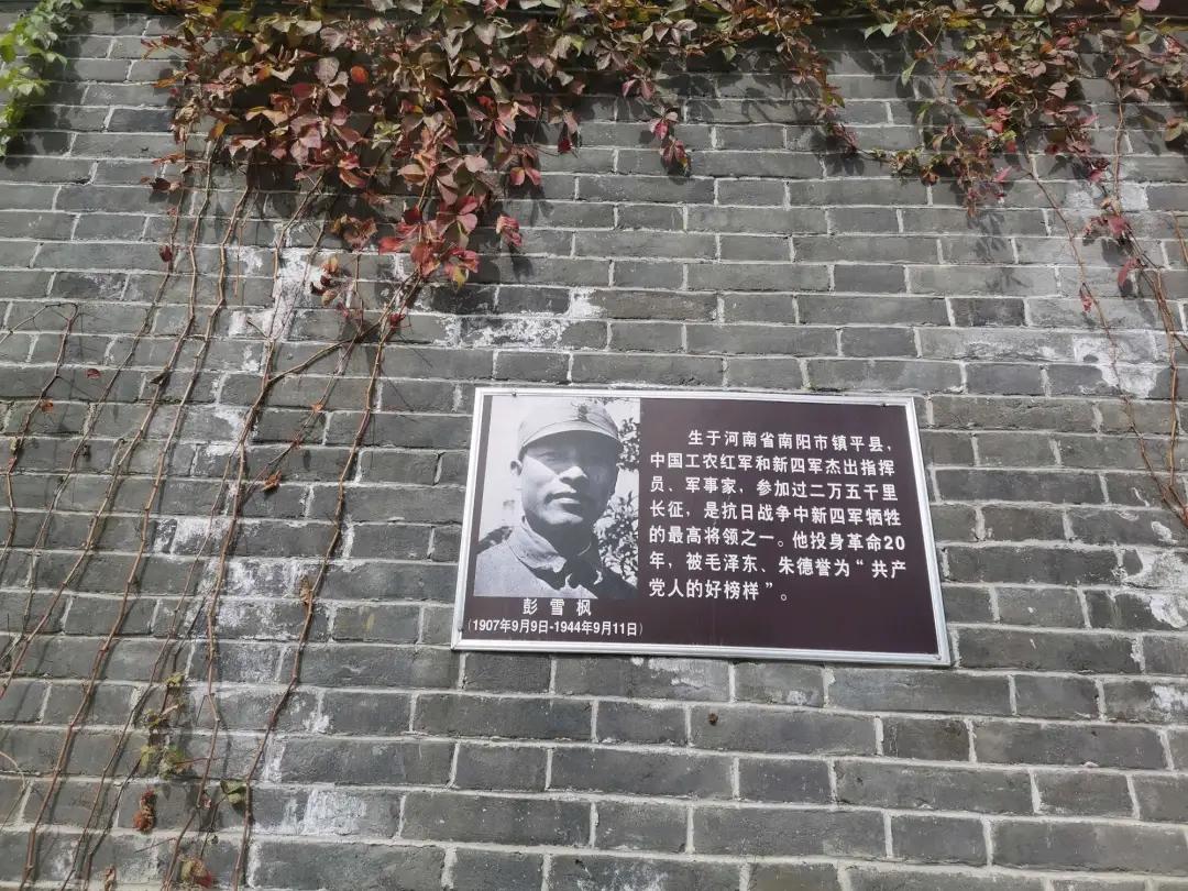 深秋的公园是什么样子的,南阳梅城公园梅花