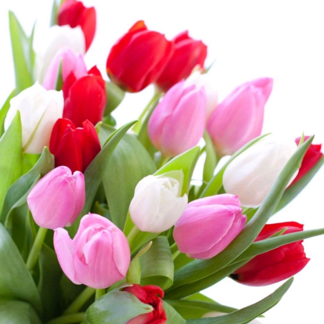 被请出去的外星人″