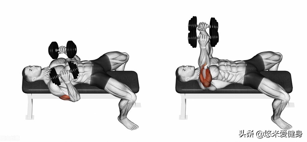 哑铃卧推初学者正确的动作,哑铃卧推初学者训练方法