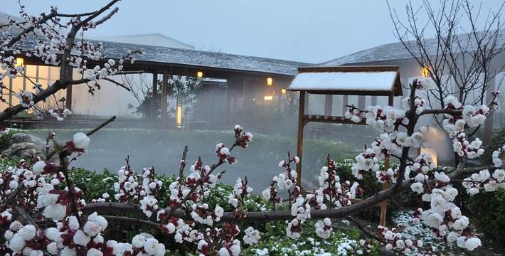 温泉泡得好轻松,泡温泉原来可以这么泡