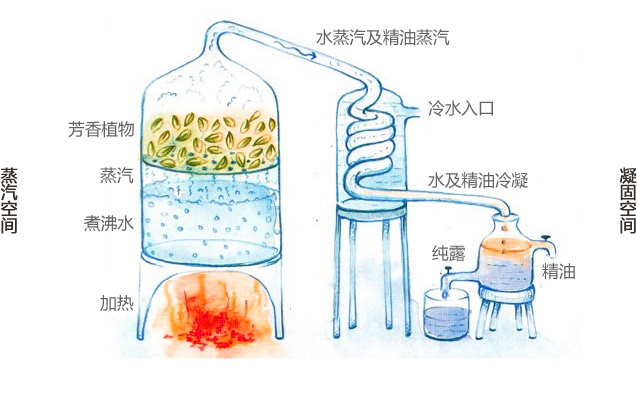 化妆品精油的功效和使用方法,化妆品的精油的作用与功效