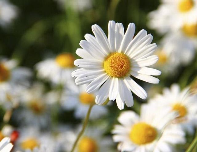 对方把微信拉黑和删除有什么区别,微信被删除和拉黑朋友圈显示什么