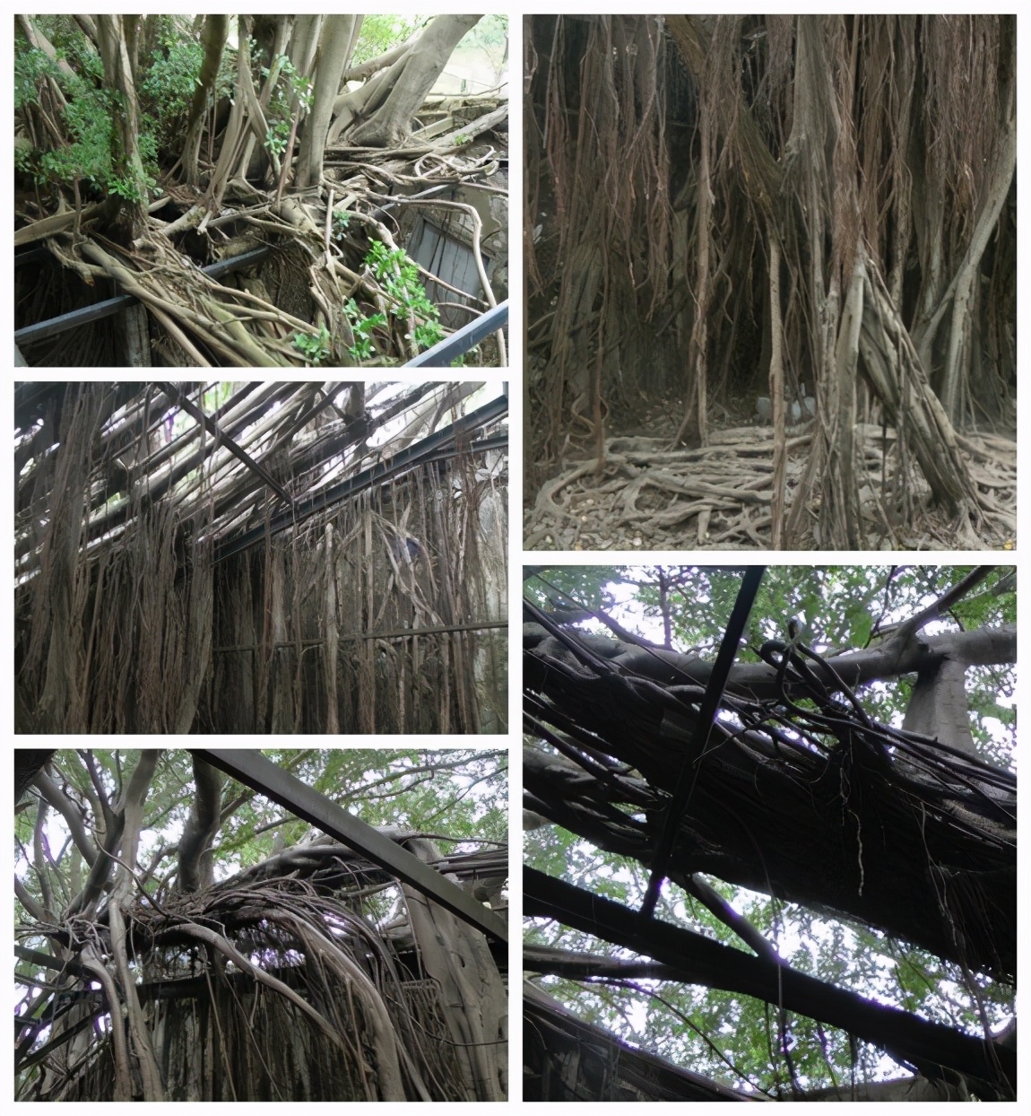 2018年十一月台湾环岛八日游攻略,台湾15天环岛游自由行