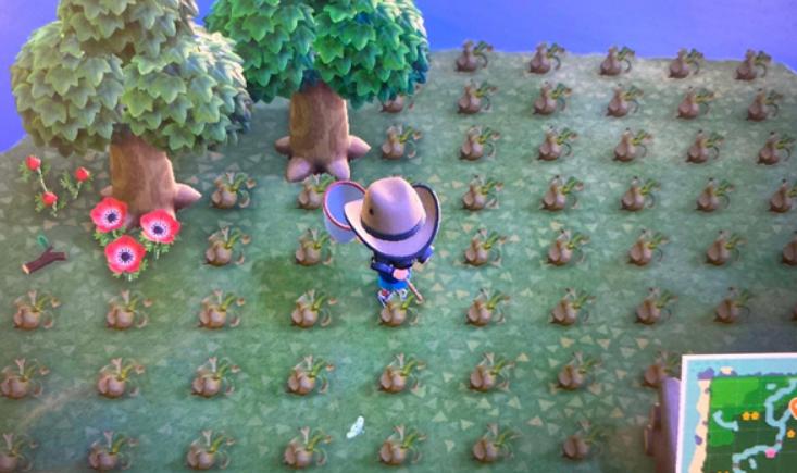 动物森友会为什么是个恐怖游戏,动物森友会哪些游戏机能玩