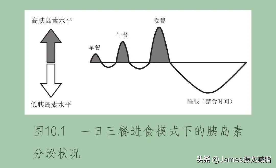 轻断食突破平台,轻断食突破平台期执行多久