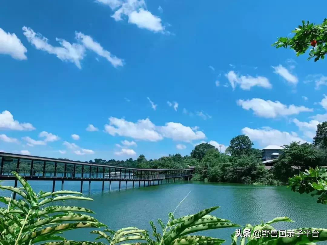 带孩子新加坡4天够玩吗,新加坡带孩子自由行几天