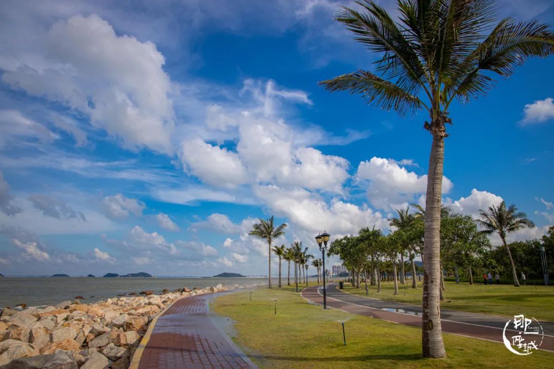 我去了最适合谈恋爱的珠海，回来却还是个单身狗