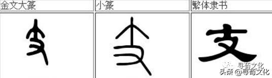 支姓氏读法,支姓的来历下集