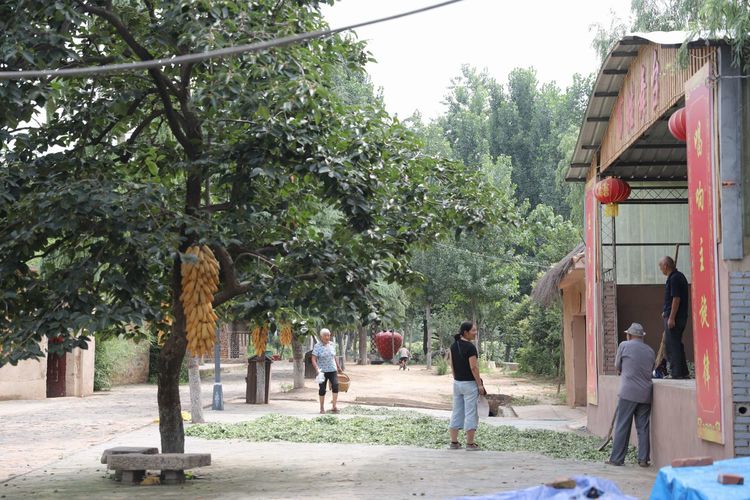 国家级传统村落千年古村,洛阳土古洞村落