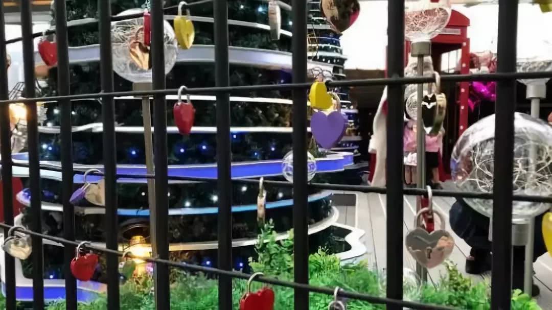 香港巨型圣诞树,香港圣诞树旅游攻略