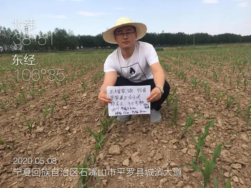 正大种业有哪几个,正大种业县级代理商