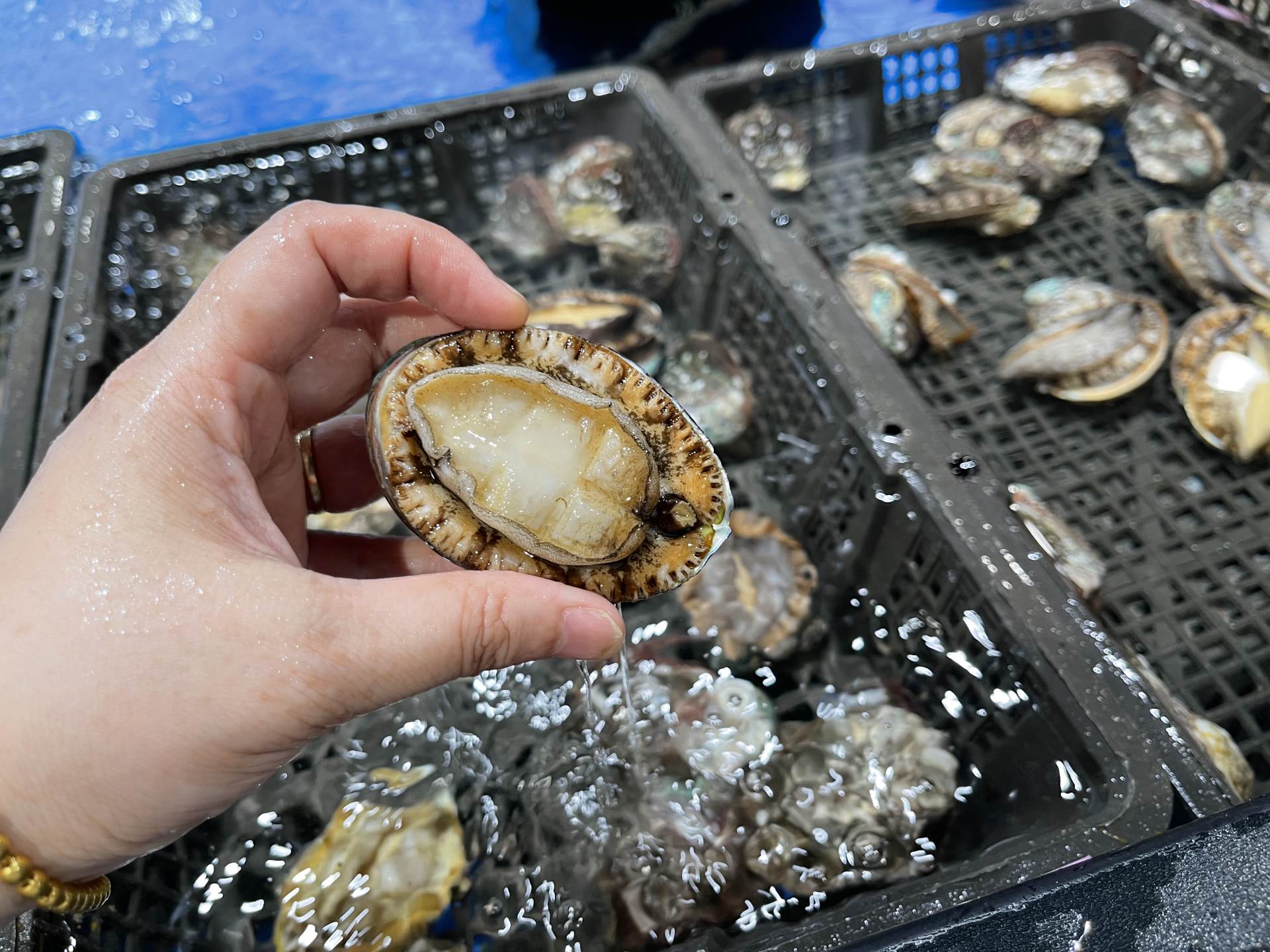 盒马鲜生必买的东西,盒马鲜生零食