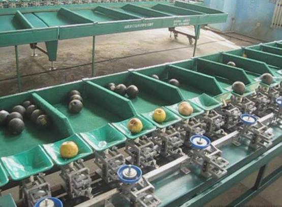 日本农产品销售的“三*法大**宝”是……