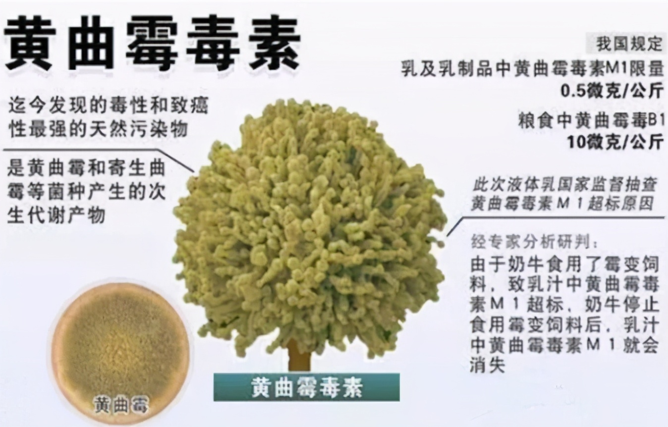 一家人吃过期玉米面死亡,玉米面发霉吃死一家九口